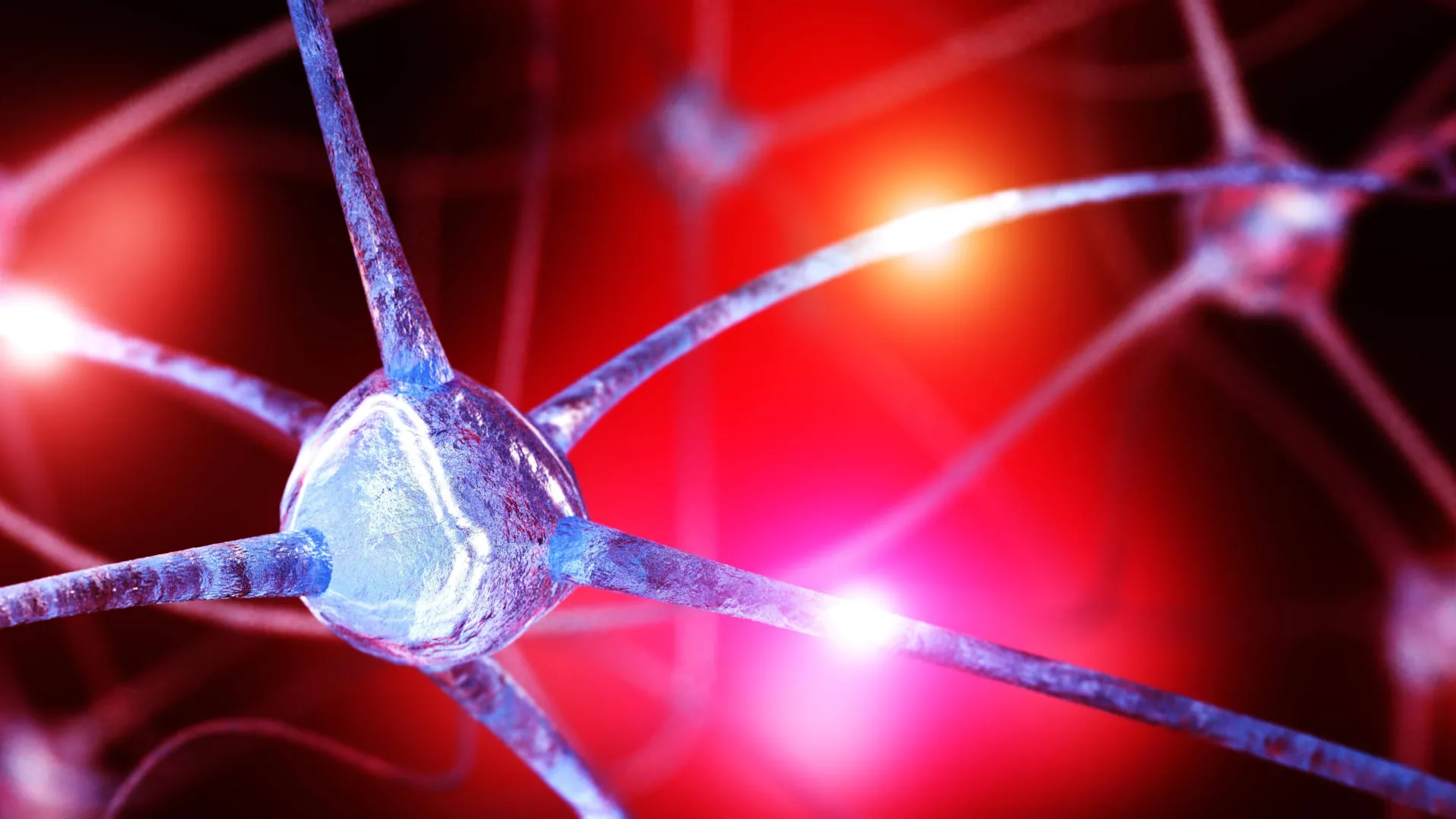 Anxiety Disorders Linked to Lower Brain Choline Levels, Study Finds