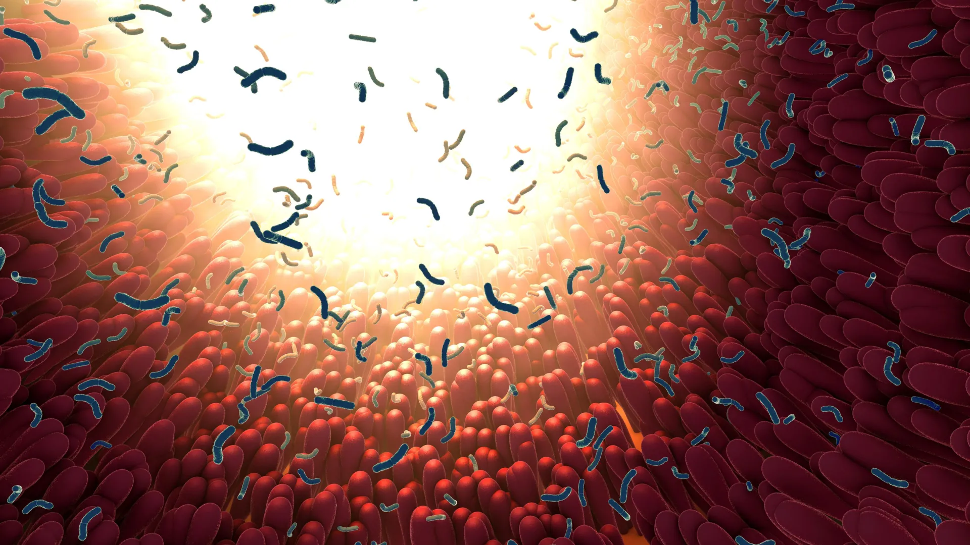 Common Sweeteners May Disrupt Gut Bacteria, Lab Study Finds
