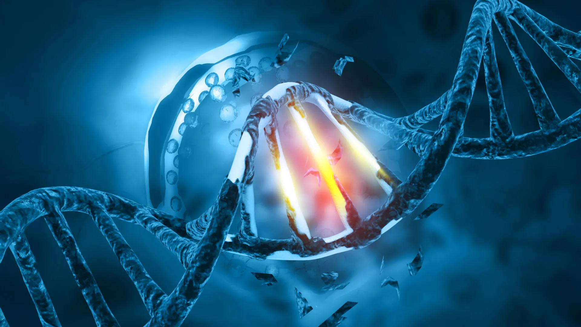 Excess DNA Repair Protein EXO1 May Drive Cancer, Guide Treatment
