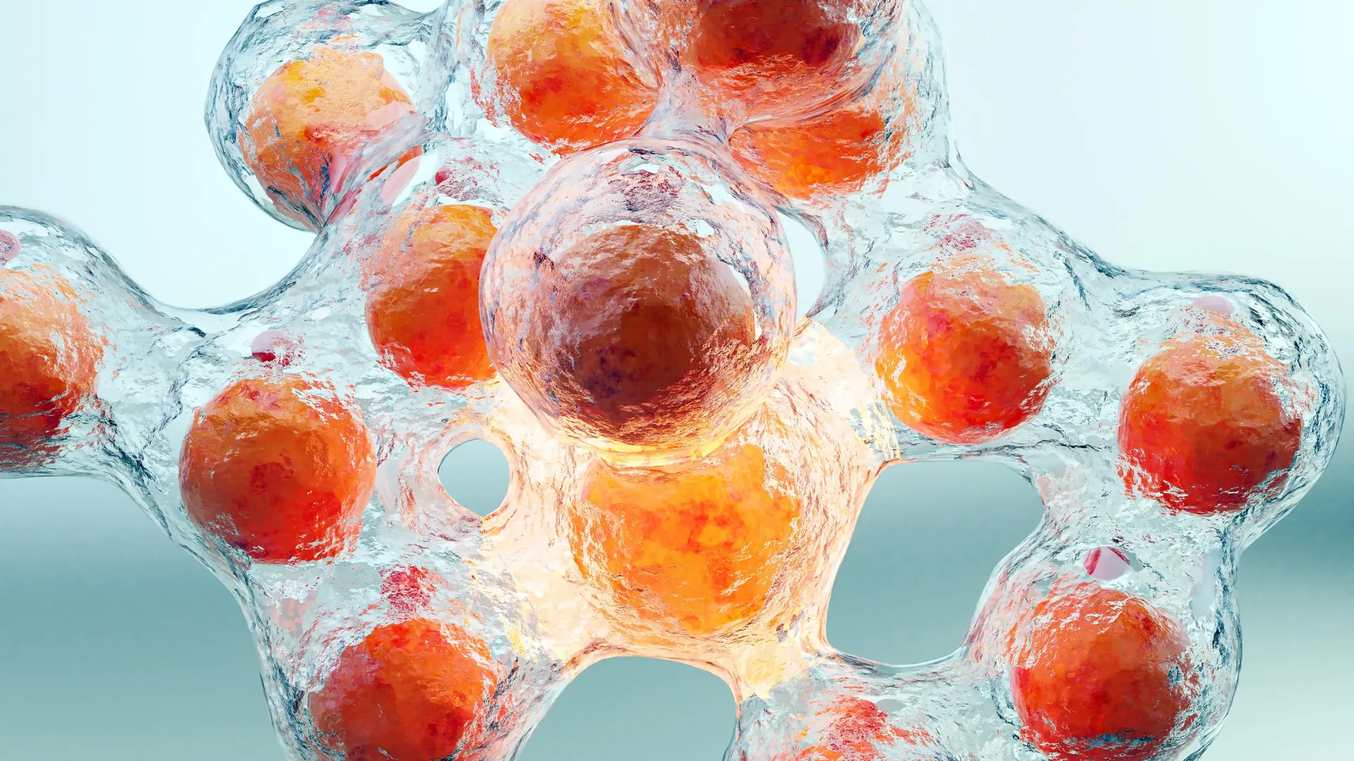 Experimental Injection Destroys Fat Cells, Reduces Visceral Abdominal Fat