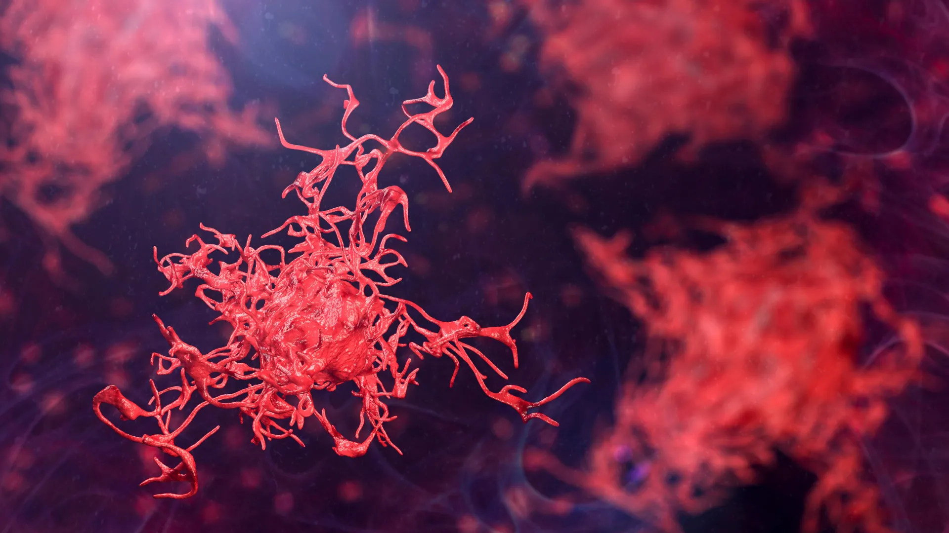Free-Living Amoebae Pose Growing Public Health Risk, Researchers Warn