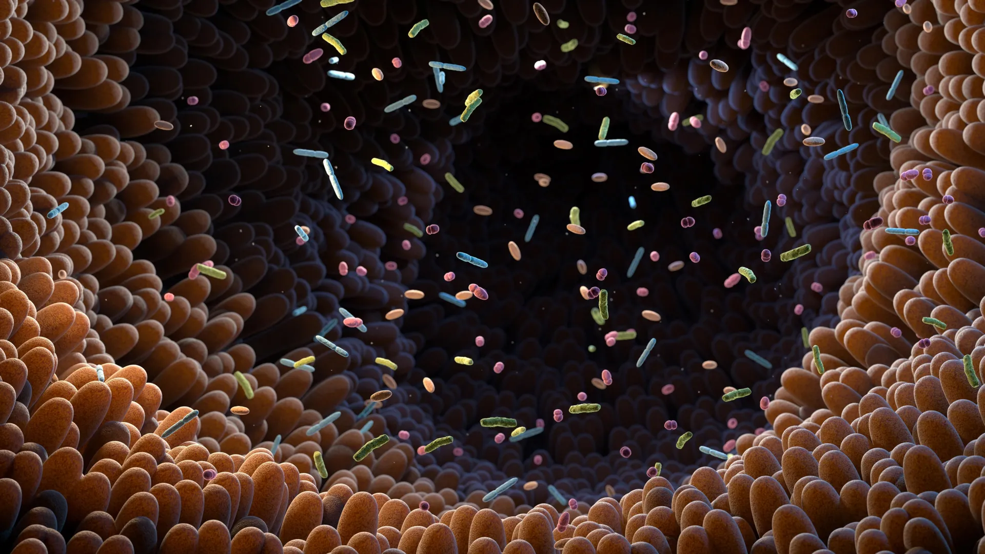 Gut Bacteria Convert Vegetable Nutrients Into Heart-Protective Molecules