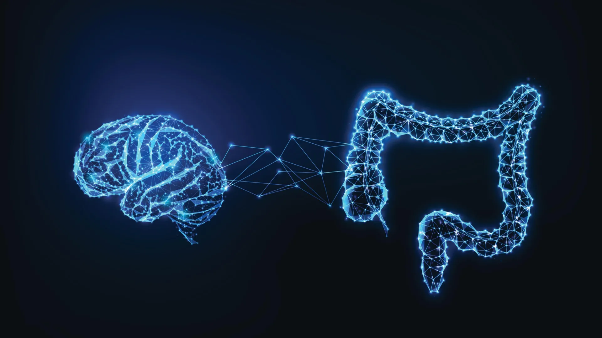 Gut-Brain Signals Drive Protein Cravings When Amino Acids Are Low