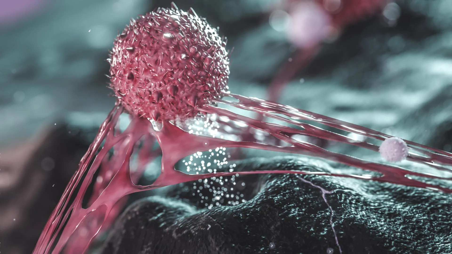 Melanoma Spreads Most in Middle Age, Immune Cells May Explain Why