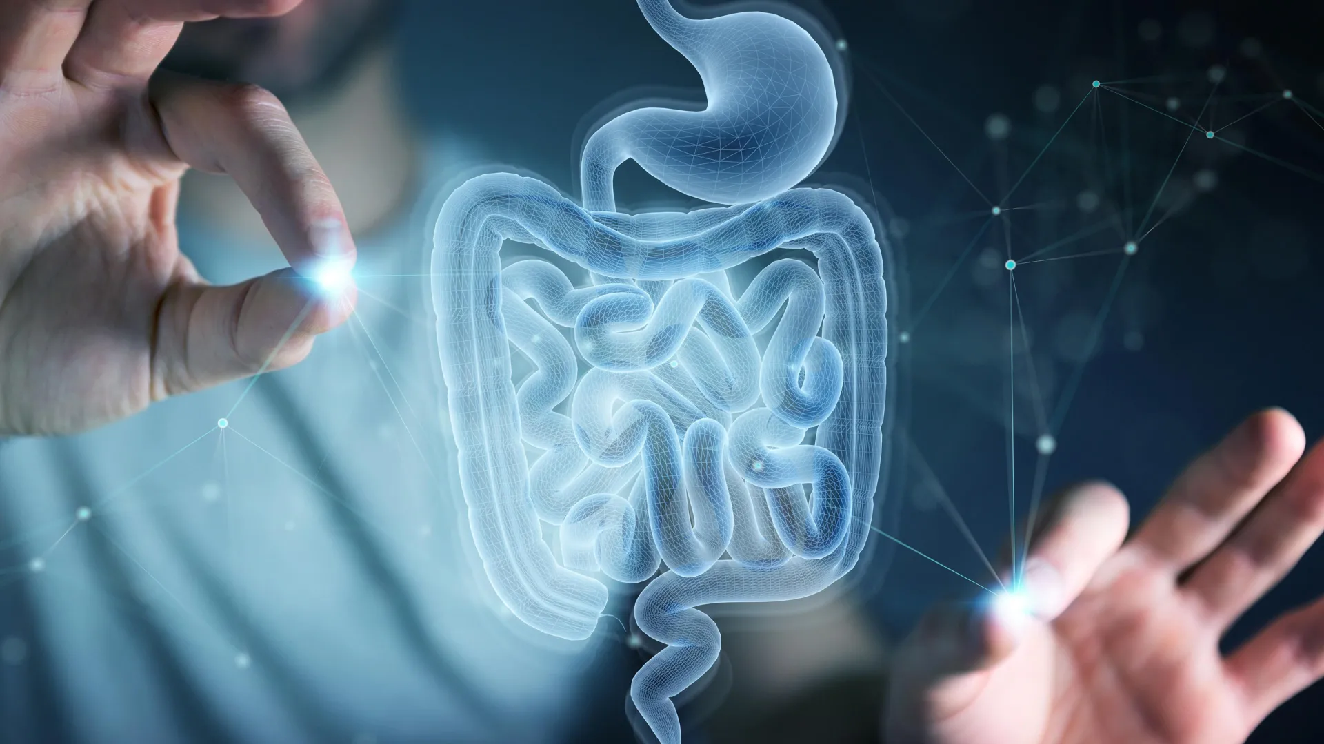 MIT: Amino Acid Cysteine Boosts Intestinal Stem Cell Repair