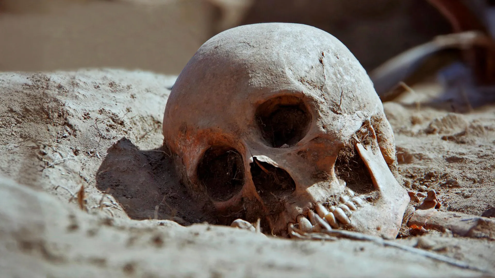 Plague Was Killing People 5,500 Years Ago, Ancient DNA Shows