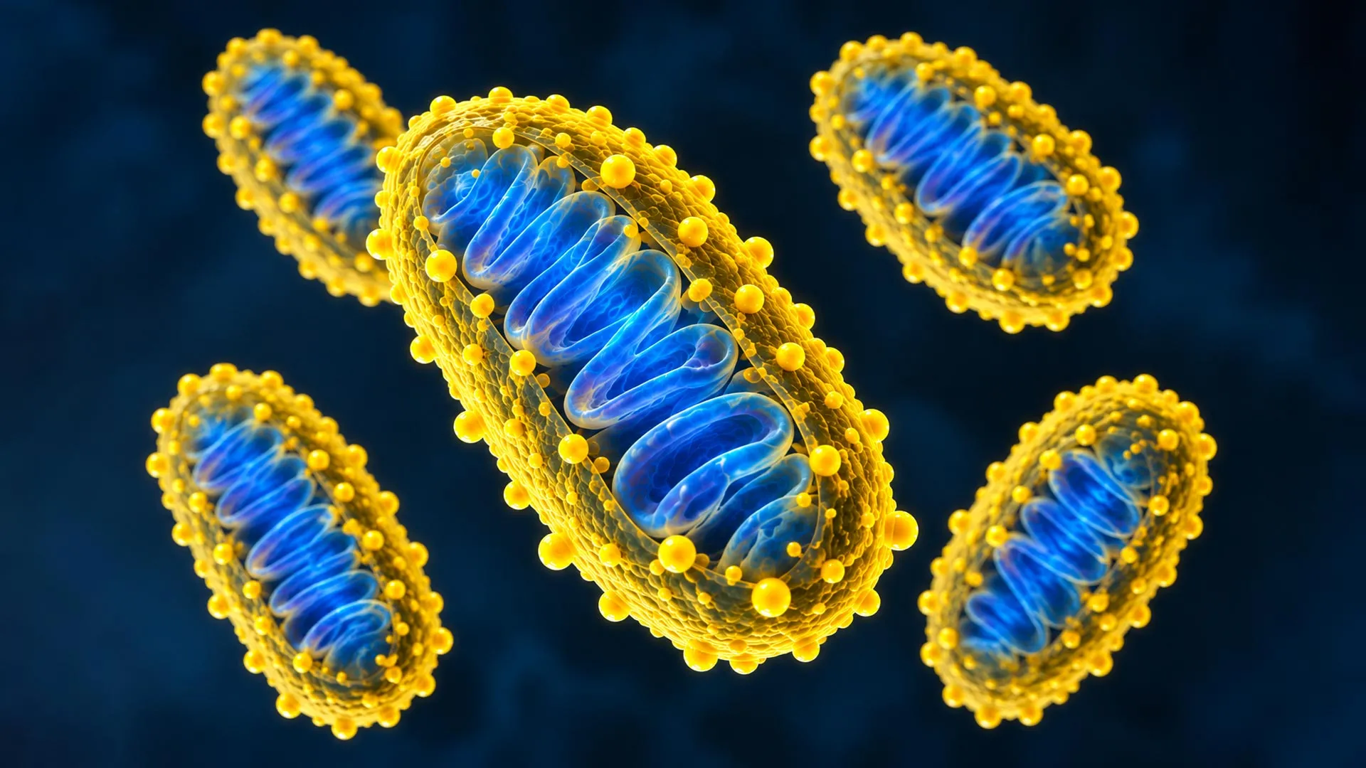 Scientists Coat Mitochondria With Advanced Materials Without Harming Function