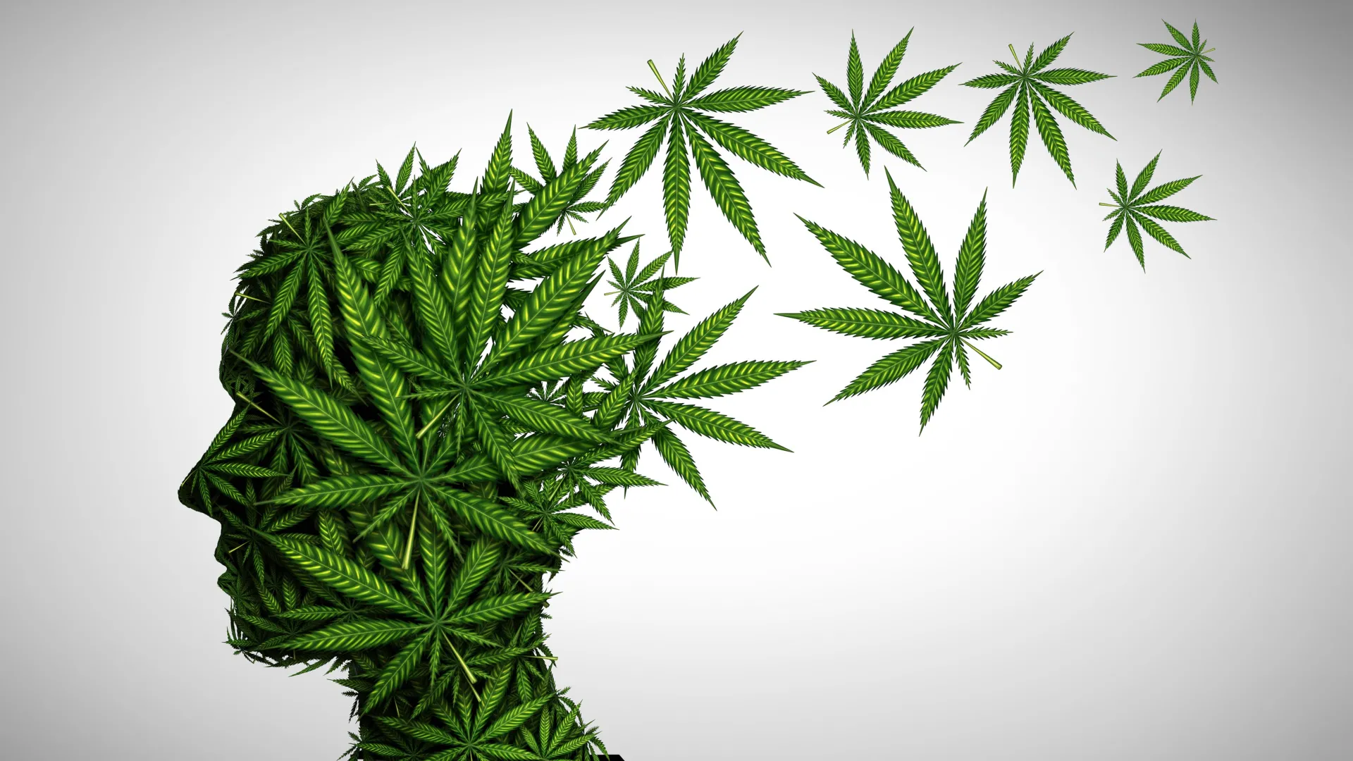 Stanford Experts Warn Older Adults About Rising Cannabis Risks