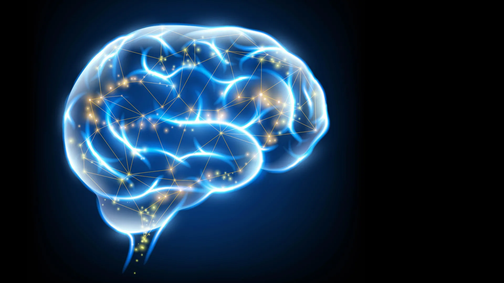 Vitamin K Analogues Show Promise for Rebuilding Neurons in Brain Disease